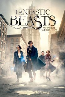 دانلود فیلم Fantastic Beasts and Where to Find Them 2016 بدون سانسور