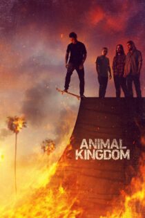 دانلود سریال Animal Kingdom بدون سانسور