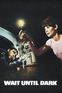 دانلود فیلم Wait Until Dark 1967 بدون سانسور