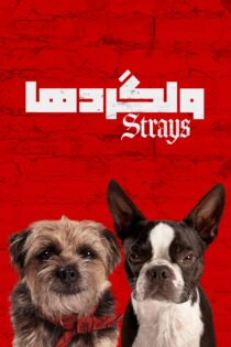 دانلود فیلم Strays 2023 بدون سانسور