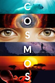 دانلود سریال Cosmos: A Spacetime Odyssey بدون سانسور