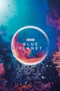 دانلود سریال The Blue Planet بدون سانسور