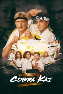 دانلود سریال Cobra Kai بدون سانسور