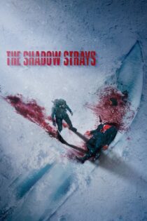 دانلود فیلم The Shadow Strays 2024 بدون سانسور