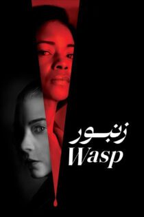 دانلود فیلم The Wasp 2024 بدون سانسور