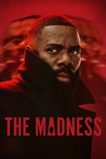 دانلود سریال The Madness بدون سانسور