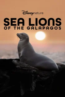 دانلود فیلم Sea Lions of the Galapagos 2025 بدون سانسور