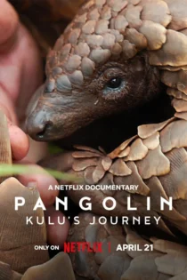 دانلود فیلم Pangolin: Kulu’s Journey 2025 بدون سانسور