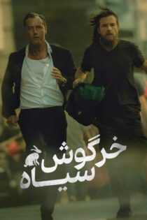 دانلود سریال Black Rabbit بدون سانسور