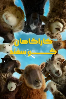 دانلود فیلم The Sheep Detectives 2026 بدون سانسور