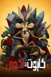 دانلود فیلم Coyote vs. Acme 2026 بدون سانسور