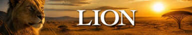 دانلود سریال Lion بدون سانسور