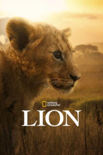 دانلود سریال Lion بدون سانسور